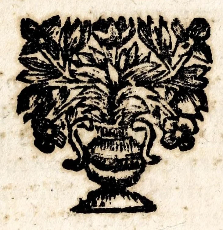 An illustration from Nouvelle relation, contenant les voyages de Thomas Gage dans la Nouvelle Espagne, ses diverses avantures; & son retour par la province de Nicaragua, jusques à la Havane. Avec la description de la ville de Mexique telle qu'elle estoit autrefois, & comme elle est à present. Ensemble une description exacte des terres & provinces que possedent les Espagnols en toute l'Amérique, de la forme de leur gouvernement ecclesiastique & politique, de leur commerce, de leurs moeurs, & de celles des criolles, des metifs, des mulatres, des Indiens, & des negres.., 1699, leaf 283