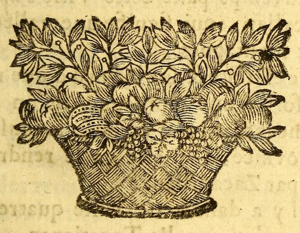 An illustration from Nouvelle relation, contenant les voyages de Thomas Gage dans la Nouvelle Espagne, : ses diverses avantures; & son retour par la province de Nicaragua, jusques à la Havane. Avec la description de la ville de Mexique telle qu'elle estoit autrefois, & comme elle est à present. Ensemble vne description exacte des terres & provinces que possedent les Espagnols en toute l'Amerique, de la forme de leur gouvernement ecclesiastique & politique, de leur commerce, de leurs moeurs, & de celles de criolles, des metifs [sic], des mulatres, des indiens, & des negres. Et un traité de la langue poconchi ou pocomane. Dedié à Monseigneur Colbert secretaire d'etat., 1676, leaf 119