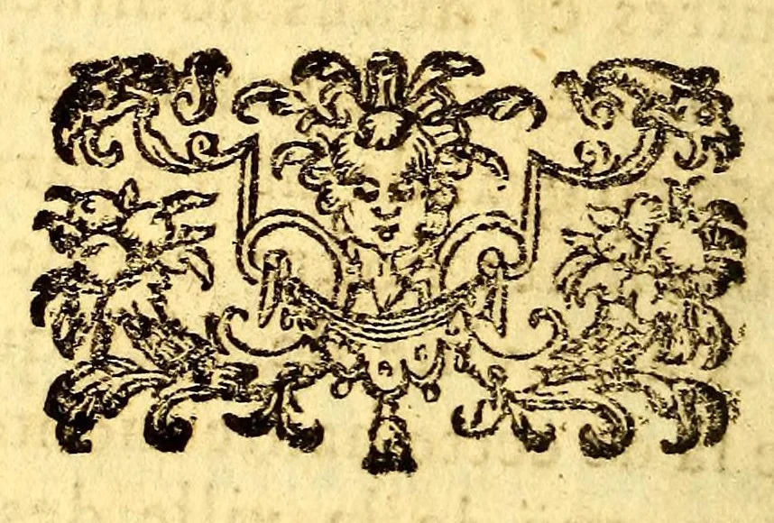 An illustration from Nouvelle relation, contenant les voyages de Thomas Gage dans la Nouvelle Espagne, : ses diverses avantures; & son retour par la province de Nicaragua, jusques à la Havane. Avec la description de la ville de Mexique telle qu'elle estoit autrefois, & comme elle est à present. Ensemble vne description exacte des terres & provinces que possedent les Espagnols en toute l'Amerique, de la forme de leur gouvernement ecclesiastique & politique, de leur commerce, de leurs moeurs, & de celles de criolles, des metifs [sic], des mulatres, des indiens, & des negres. Et un traité de la langue poconchi ou pocomane. Dedié à Monseigneur Colbert secretaire d'etat., 1676, leaf 136