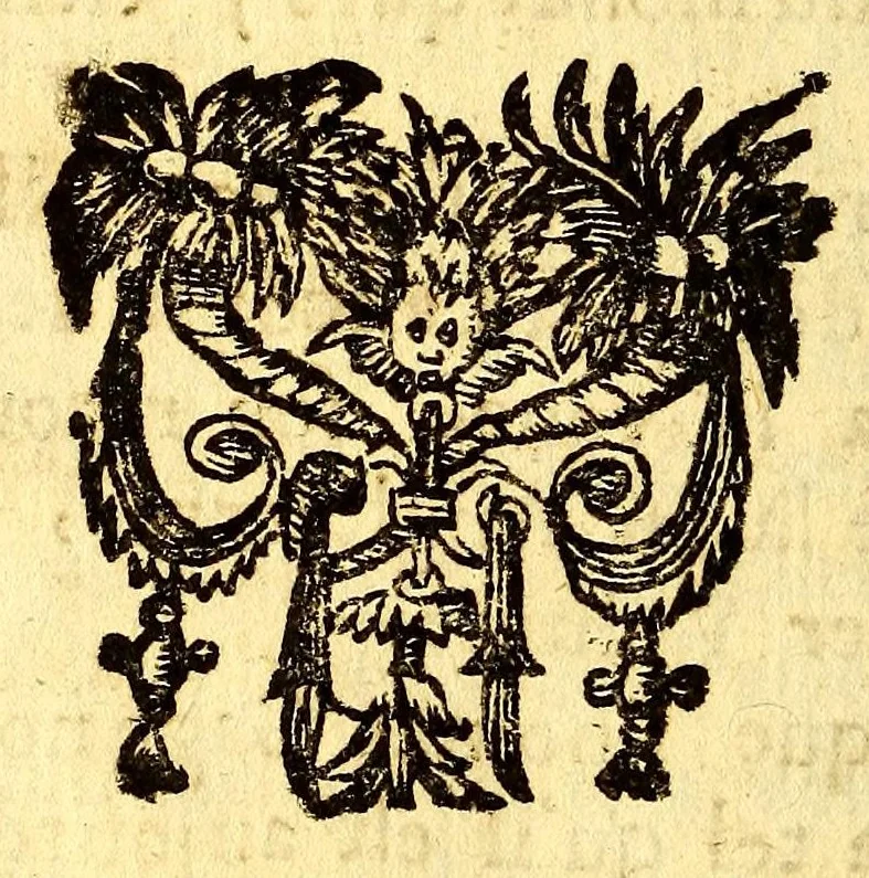 An illustration from Nouvelle relation, contenant les voyages de Thomas Gage dans la Nouvelle Espagne, : ses diverses avantures; & son retour par la province de Nicaragua, jusques à la Havane. Avec la description de la ville de Mexique telle qu'elle estoit autrefois, & comme elle est à present. Ensemble vne description exacte des terres & provinces que possedent les Espagnols en toute l'Amerique, de la forme de leur gouvernement ecclesiastique & politique, de leur commerce, de leurs moeurs, & de celles de criolles, des metifs [sic], des mulatres, des indiens, & des negres. Et un traité de la langue poconchi ou pocomane. Dedié à Monseigneur Colbert secretaire d'etat., 1676, leaf 24