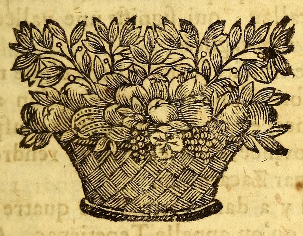 An illustration from Nouvelle relation, contenant les voyages de Thomas Gage dans la Nouvelle Espagne, : ses diverses avantures; & son retour par la province de Nicaragua, jusques à la Havane. Avec la description de la ville de Mexique telle qu'elle estoit autrefois, & comme elle est à present. Ensemble vne description exacte des terres & provinces que possedent les Espagnols en toute l'Amerique, de la forme de leur gouvernement ecclesiastique & politique, de leur commerce, de leurs moeurs, & de celles de criolles, des metifs [sic], des mulatres, des indiens, & des negres. Et un traité de la langue poconchi ou pocomane. Dedié à Monseigneur Colbert secretaire d'etat., 1676, leaf 143