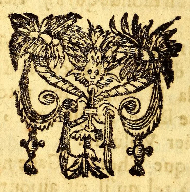 An illustration from Nouvelle relation, contenant les voyages de Thomas Gage dans la Nouvelle Espagne, : ses diverses avantures; & son retour par la province de Nicaragua, jusques à la Havane. Avec la description de la ville de Mexique telle qu'elle estoit autrefois, & comme elle est à present. Ensemble vne description exacte des terres & provinces que possedent les Espagnols en toute l'Amerique, de la forme de leur gouvernement ecclesiastique & politique, de leur commerce, de leurs moeurs, & de celles de criolles, des metifs [sic], des mulatres, des indiens, & des negres. Et un traité de la langue poconchi ou pocomane. Dedié à Monseigneur Colbert secretaire d'etat., 1676, leaf 48