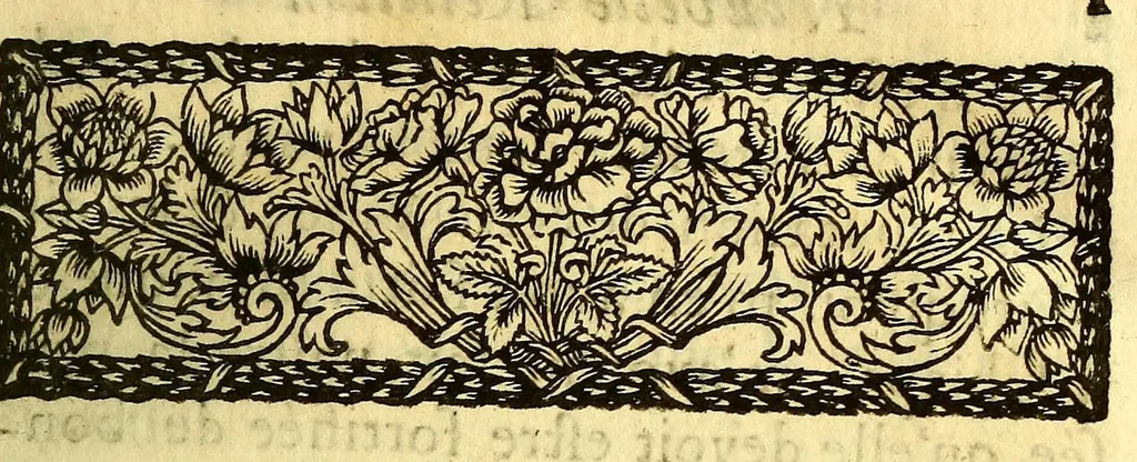 An illustration from Nouvelle relation, contenant les voyages de Thomas Gage dans la Nouvelle Espagne, : ses diverses avantures; & son retour par la province de Nicaragua, jusques à la Havane. Avec la description de la ville de Mexique telle qu'elle estoit autrefois, & comme elle est à present. Ensemble vne description exacte des terres & provinces que possedent les Espagnols en toute l'Amerique, de la forme de leur gouvernement ecclesiastique & politique, de leur commerce, de leurs moeurs, & de celles de criolles, des metifs [sic], des mulatres, des indiens, & des negres. Et un traité de la langue poconchi ou pocomane. Dedié à Monseigneur Colbert secretaire d'etat., 1676, leaf 11