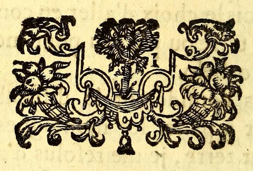 An illustration from Nouvelle relation, contenant les voyages de Thomas Gage dans la Nouvelle Espagne, : ses diverses avantures; & son retour par la province de Nicaragua, jusques à la Havane. Avec la description de la ville de Mexique telle qu'elle estoit autrefois, & comme elle est à present. Ensemble vne description exacte des terres & provinces que possedent les Espagnols en toute l'Amerique, de la forme de leur gouvernement ecclesiastique & politique, de leur commerce, de leurs moeurs, & de celles de criolles, des metifs [sic], des mulatres, des indiens, & des negres. Et un traité de la langue poconchi ou pocomane. Dedié à Monseigneur Colbert secretaire d'etat., 1676, leaf 404