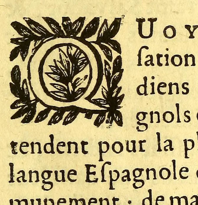 An illustration from Nouvelle relation, contenant les voyages de Thomas Gage dans la Nouvelle Espagne, : ses diverses avantures; & son retour par la province de Nicaragua, jusques à la Havane. Avec la description de la ville de Mexique telle qu'elle estoit autrefois, & comme elle est à present. Ensemble vne description exacte des terres & provinces que possedent les Espagnols en toute l'Amerique, de la forme de leur gouvernement ecclesiastique & politique, de leur commerce, de leurs moeurs, & de celles de criolles, des metifs [sic], des mulatres, des indiens, & des negres. Et un traité de la langue poconchi ou pocomane. Dedié à Monseigneur Colbert secretaire d'etat., 1676, leaf 447