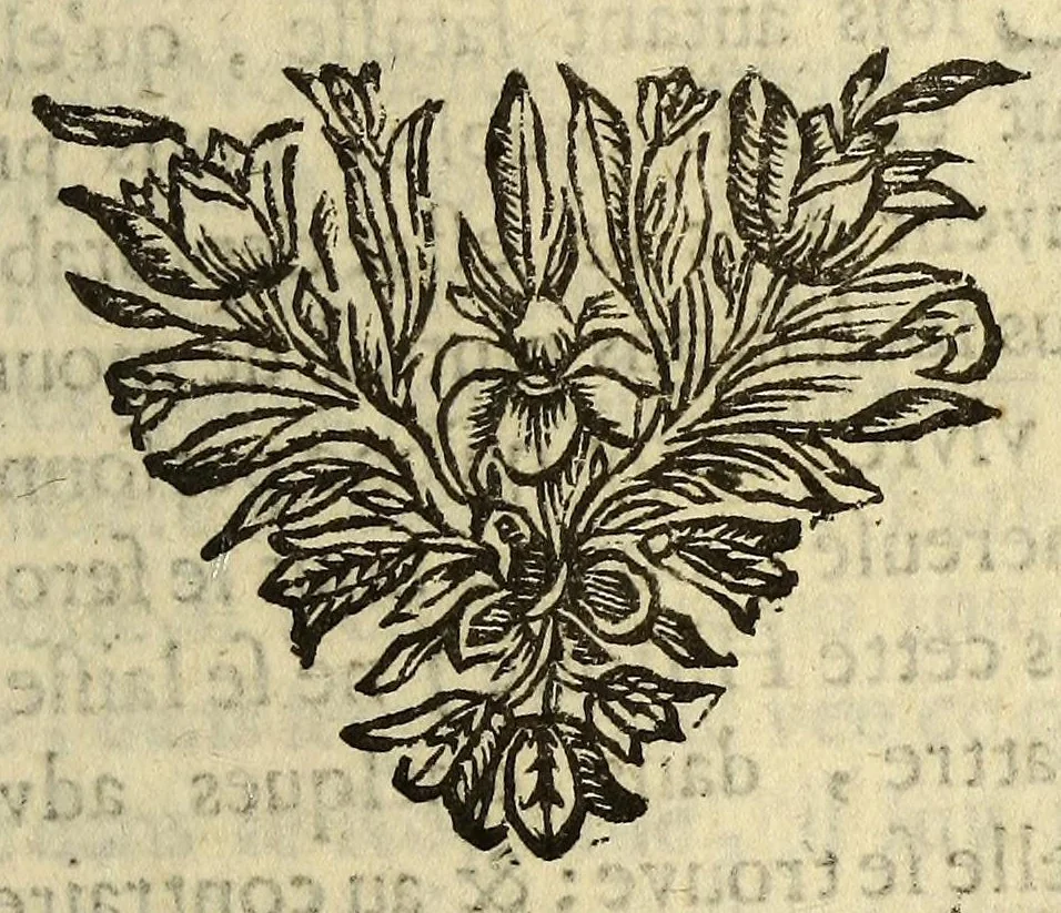 An illustration from Nouvelles de l'Amerique, ou Le Mercure ameriquain. : Ou sont contenües trois histoires veritables arrivées de nostre temps, 1678, leaf 115