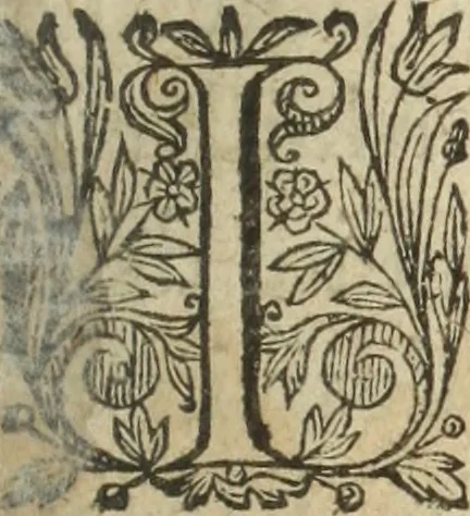 An illustration from Nouvelles morales en suite de celles de Cervantes .., 1621, leaf 12