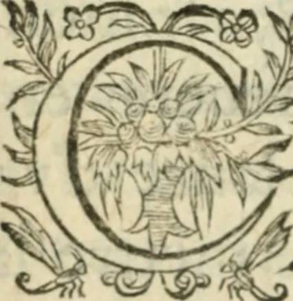 An illustration from Nouvelles morales en suite de celles de Cervantes .., 1621, leaf 171