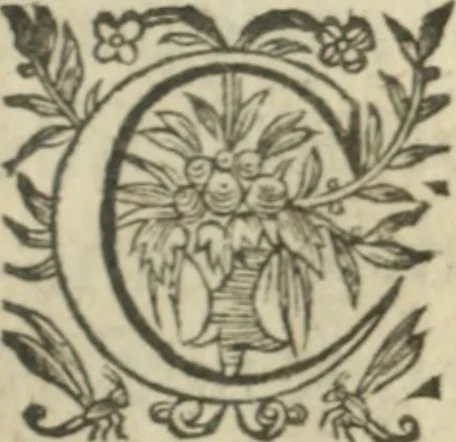 An illustration from Nouvelles morales en suite de celles de Cervantes .., 1621, leaf 408