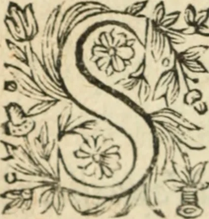 An illustration from Nouvelles morales en suite de celles de Cervantes .., 1621, leaf 549