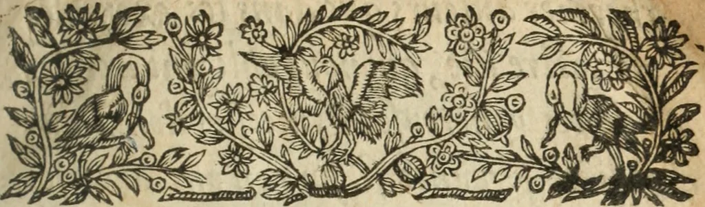An illustration from Nouvelles morales en suite de celles de Cervantes .., 1621, leaf 6