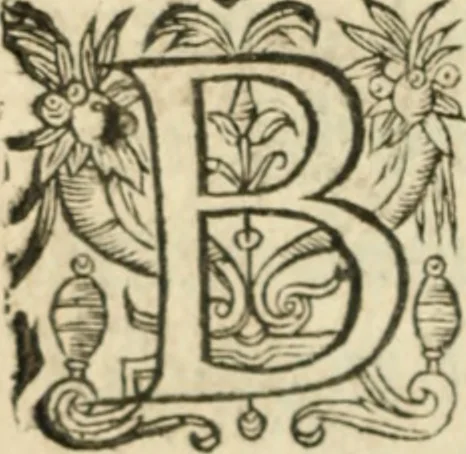 An illustration from Nouvelles morales en suite de celles de Cervantes .., 1621, leaf 617