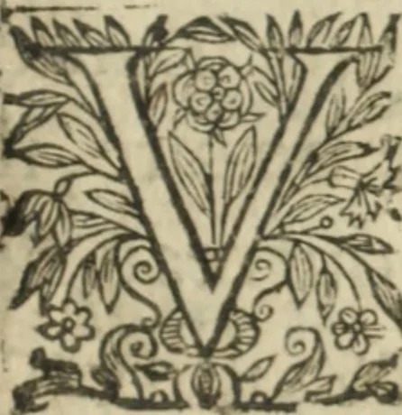 An illustration from Nouvelles morales en suite de celles de Cervantes .., 1621, leaf 674