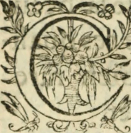 An illustration from Nouvelles morales en suite de celles de Cervantes .., 1621, leaf 805