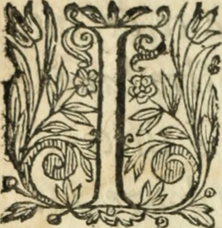 An illustration from Nouvelles morales en suite de celles de Cervantes .., 1621, leaf 9