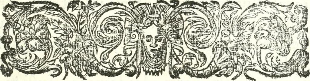 An illustration from Nouvelles observations et coniectvres svr l'iris, 1650, leaf 10