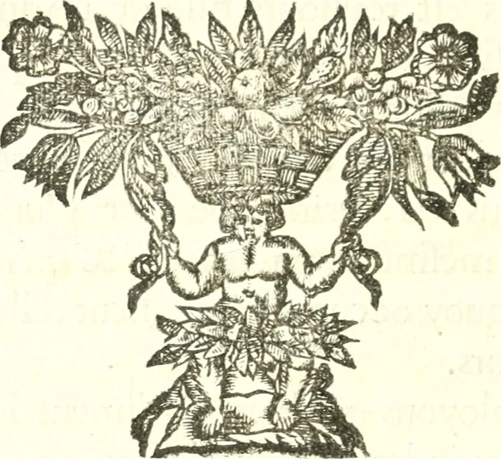 An illustration from Nouvelles observations et coniectvres svr l'iris, 1650, leaf 13