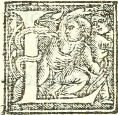 An illustration from Nouvelles observations et coniectvres svr l'iris, 1650, leaf 14