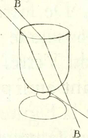 An illustration from Nouvelles observations et coniectvres svr l'iris, 1650, leaf 308