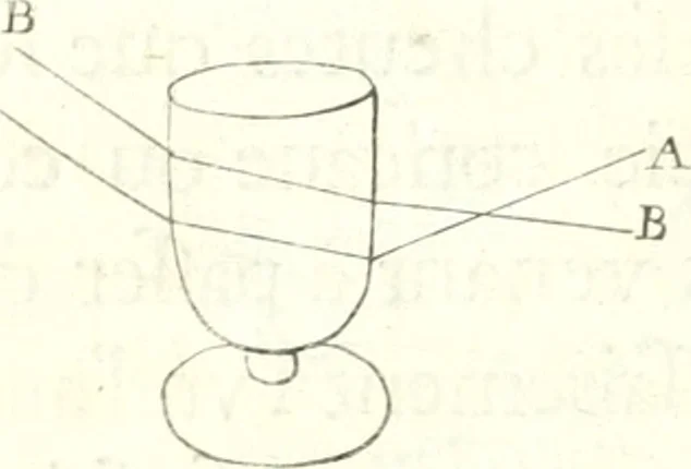 An illustration from Nouvelles observations et coniectvres svr l'iris, 1650, leaf 309