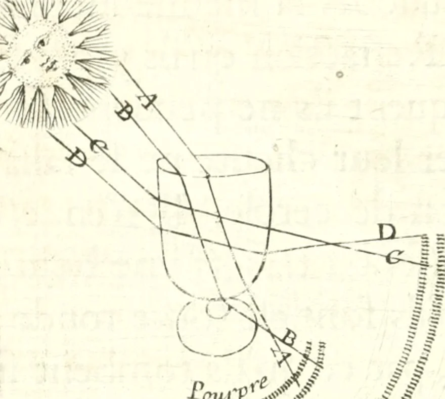 An illustration from Nouvelles observations et coniectvres svr l'iris, 1650, leaf 311