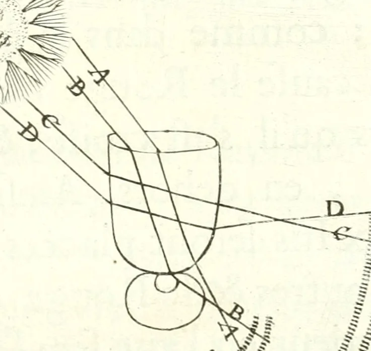 An illustration from Nouvelles observations et coniectvres svr l'iris, 1650, leaf 314