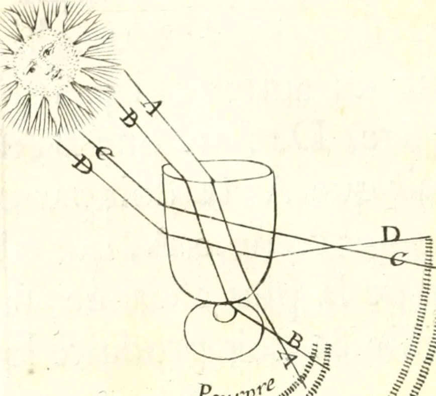 An illustration from Nouvelles observations et coniectvres svr l'iris, 1650, leaf 315
