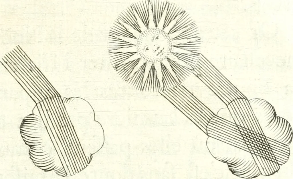 An illustration from Nouvelles observations et coniectvres svr l'iris, 1650, leaf 318