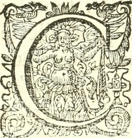 An illustration from Nouvelles observations et coniectvres svr l'iris, 1650, leaf 36