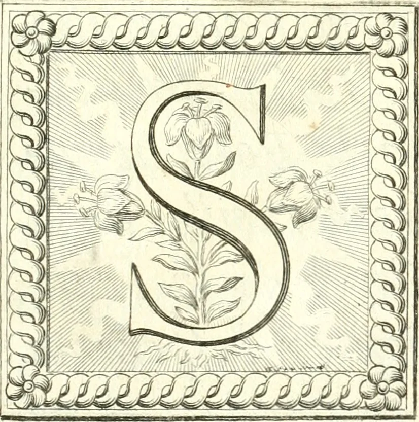 An illustration from Nouvelles observations et coniectvres svr l'iris, 1650, leaf 6
