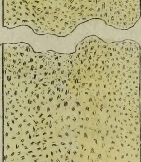 An illustration from Nouvelles récréations physiques et mathématiques, contenant ce qui a été imaginé de plus curieux dans ce genre et qui se découvre journellement, auxquelles on a joint, leurs causes, leurs effets, la mani¿ere de les construire, & l'amusement qu'on en peut tirer pour étonner et surprendre agréablement, 1786, leaf 394