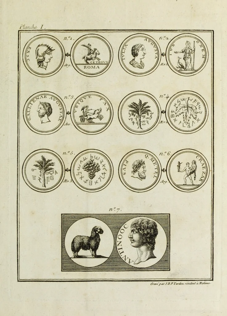 An illustration from Nouvelles recherches sur la science des medailles, inscriptions, et hieroglyphes antiques, 1778, leaf 210