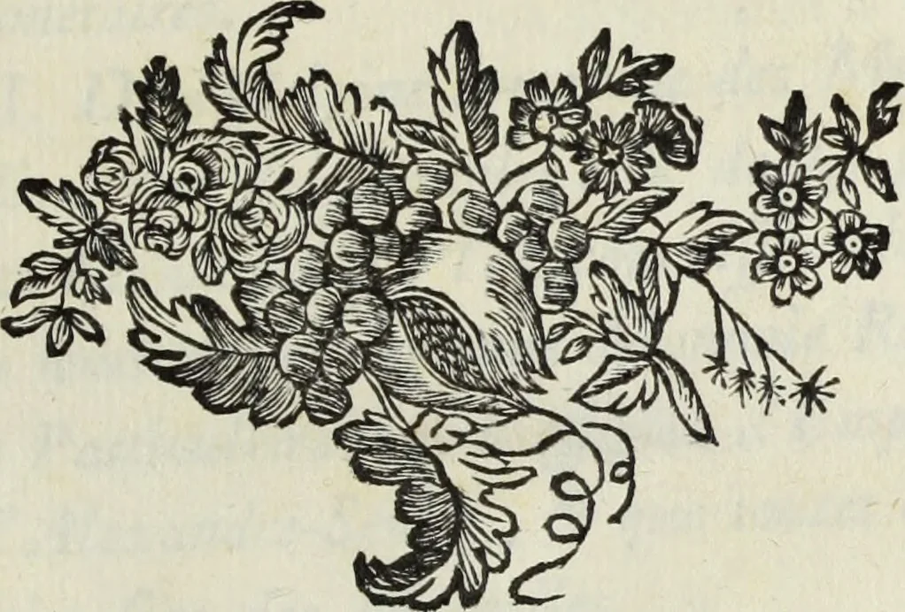 An illustration from Nouvelles recherches sur la science des medailles, inscriptions, et hieroglyphes antiques, 1778, leaf 6
