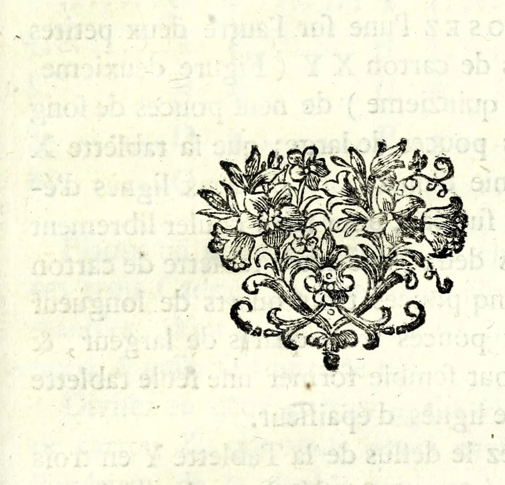 An illustration from Nouvelles récréations physiques et mathematiques : contenant toutes celles qui ont été découvertes & imaginées dans ces derniers temps, sur l'aiman, les nombres, l'optique, la chymie, &c., & quantité d'autres qui n'ont jamais été rendues publiques : ou l'on a joint leurs causes, leurs effets, la maniere de les construire, & l'amusement qu'on peut en tirer pour étonner agréablement ..., 1769, leaf 211