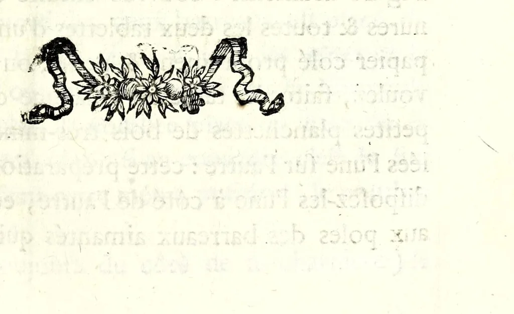 An illustration from Nouvelles récréations physiques et mathematiques : contenant toutes celles qui ont été découvertes & imaginées dans ces derniers temps, sur l'aiman, les nombres, l'optique, la chymie, &c., & quantité d'autres qui n'ont jamais été rendues publiques : ou l'on a joint leurs causes, leurs effets, la maniere de les construire, & l'amusement qu'on peut en tirer pour étonner agréablement ..., 1769, leaf 69