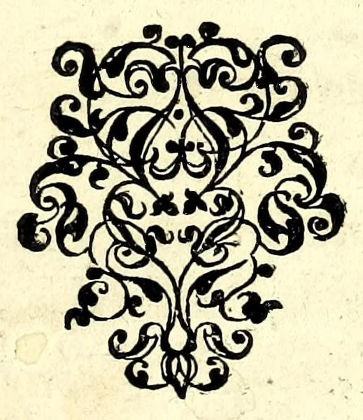 An illustration from Nouvm instrumentum geometricum : quo rerum mensurabilium longitudo, altitudo, latitudo & profunditas, hactenus inaudito compendio, etiam ab arithmeticae imperitis, quàm certissimè mensurantur, 1607, leaf 11
