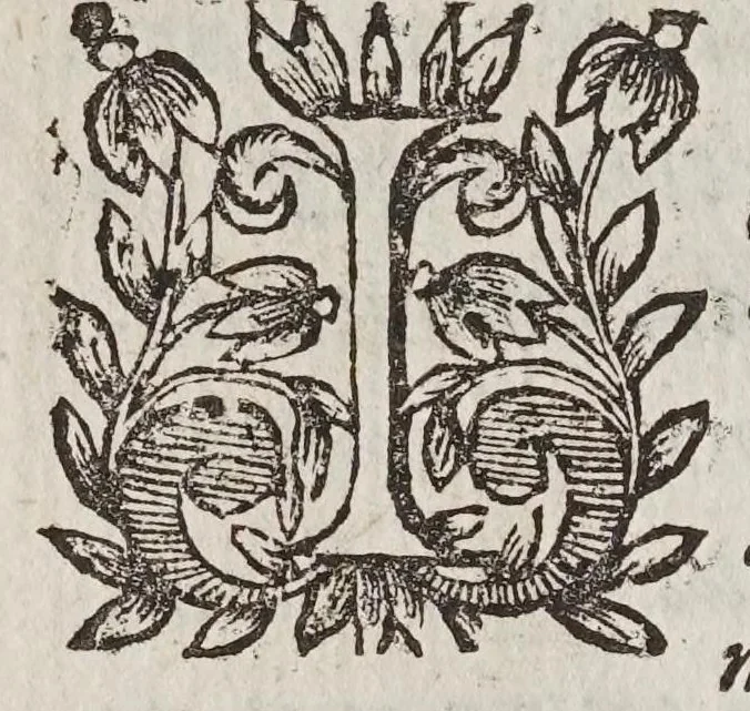 An illustration from Nova demonstratio immobilitatis terrae petita ex virtvte magnetica : et quaedam alia ad effectus & leges magneticas, vsumque longitudinum & vniuersam geographiam spectantia, de nouo inuenta, 1645, leaf 8