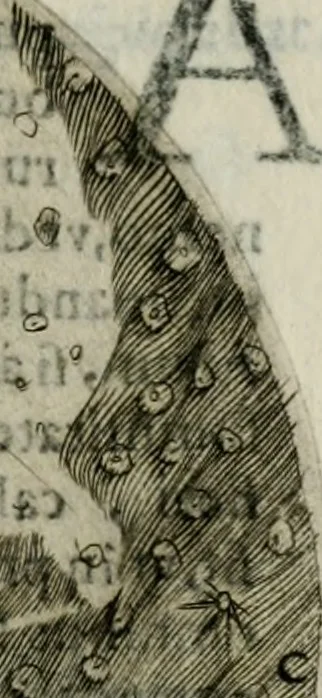An illustration from Novae coelestium terrestriumq[ue] rerum observationes : et fortasse hactenus non uulgatae, 1646, leaf 102
