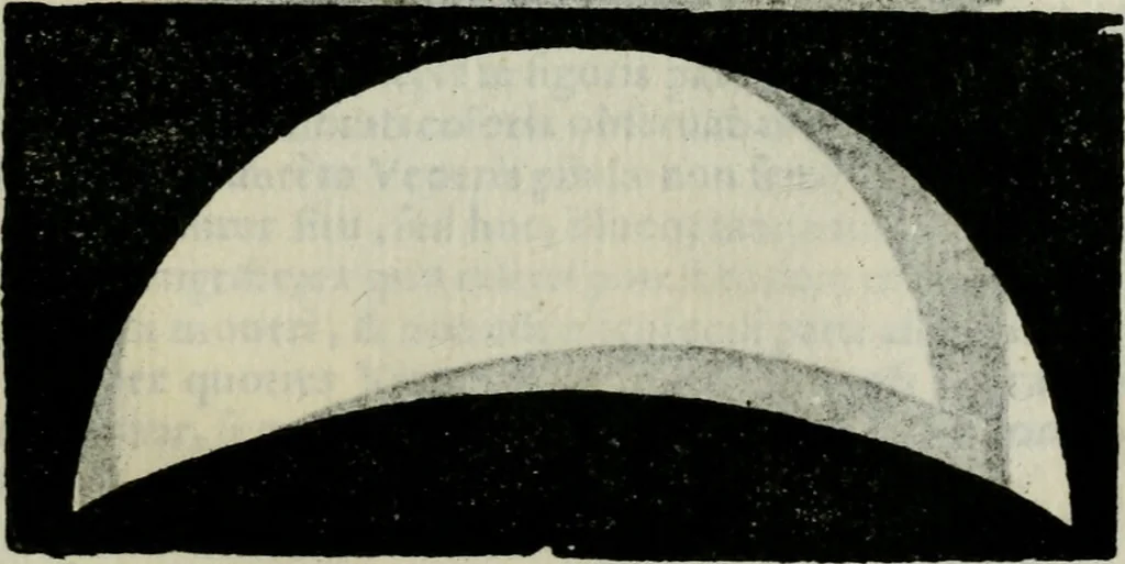 An illustration from Novae coelestium terrestriumq[ue] rerum observationes : et fortasse hactenus non uulgatae, 1646, leaf 104