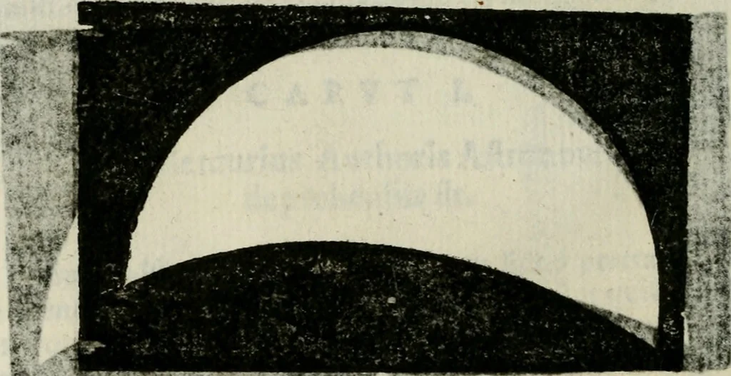 An illustration from Novae coelestium terrestriumq[ue] rerum observationes : et fortasse hactenus non uulgatae, 1646, leaf 105