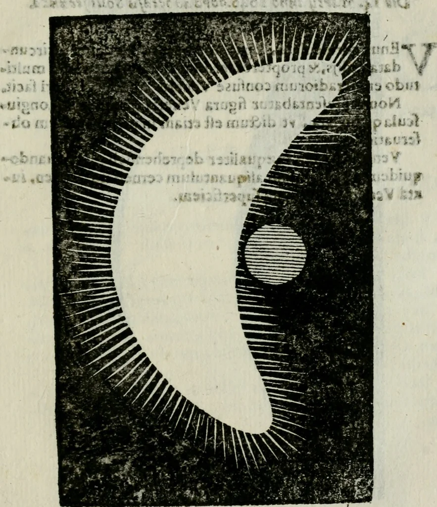 An illustration from Novae coelestium terrestriumq[ue] rerum observationes : et fortasse hactenus non uulgatae, 1646, leaf 116