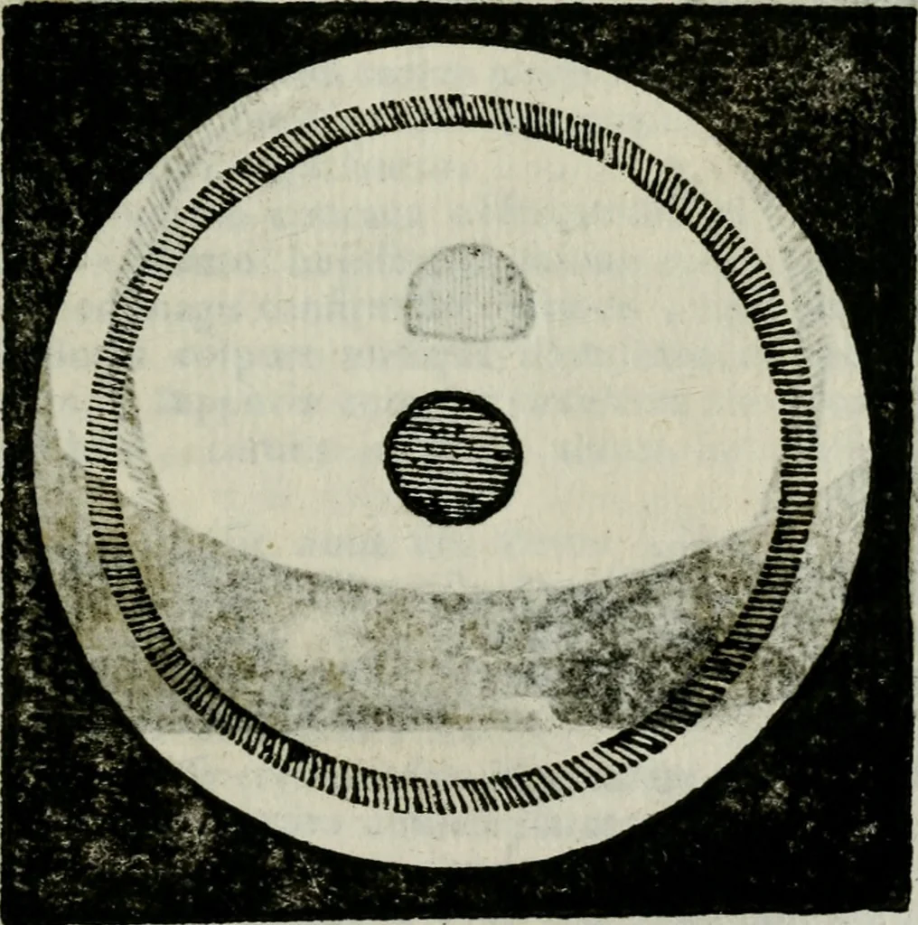An illustration from Novae coelestium terrestriumq[ue] rerum observationes : et fortasse hactenus non uulgatae, 1646, leaf 120