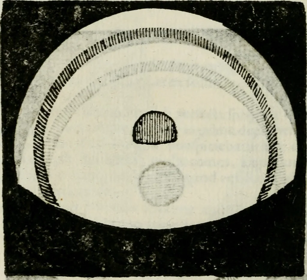 An illustration from Novae coelestium terrestriumq[ue] rerum observationes : et fortasse hactenus non uulgatae, 1646, leaf 121