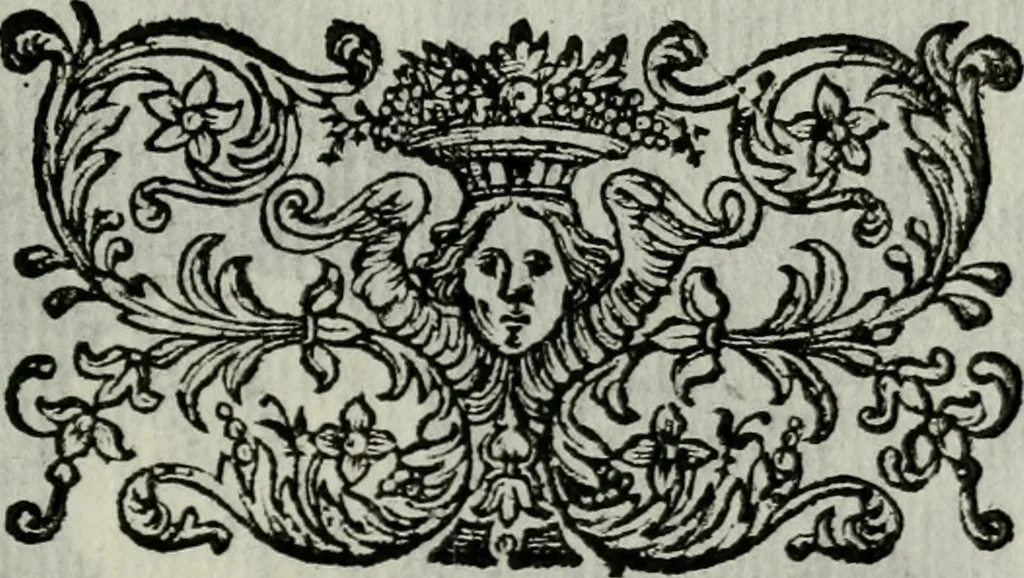 An illustration from Novae coelestium terrestriumq[ue] rerum observationes : et fortasse hactenus non uulgatae, 1646, leaf 124