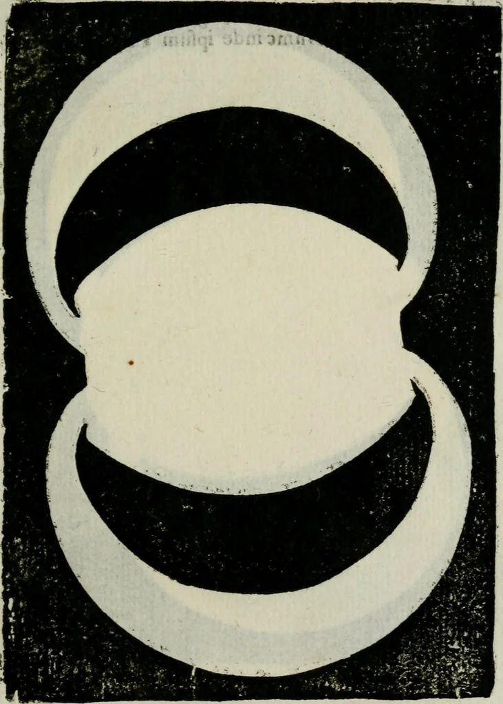 An illustration from Novae coelestium terrestriumq[ue] rerum observationes : et fortasse hactenus non uulgatae, 1646, leaf 146
