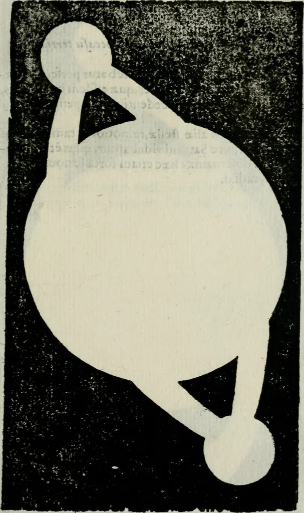 An illustration from Novae coelestium terrestriumq[ue] rerum observationes : et fortasse hactenus non uulgatae, 1646, leaf 152