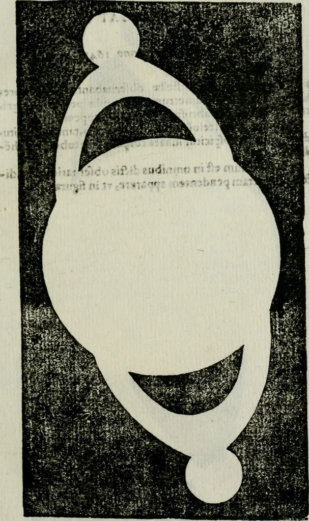 An illustration from Novae coelestium terrestriumq[ue] rerum observationes : et fortasse hactenus non uulgatae, 1646, leaf 154
