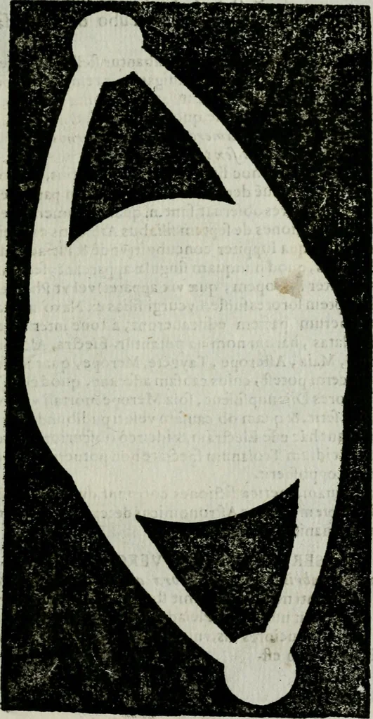 An illustration from Novae coelestium terrestriumq[ue] rerum observationes : et fortasse hactenus non uulgatae, 1646, leaf 156