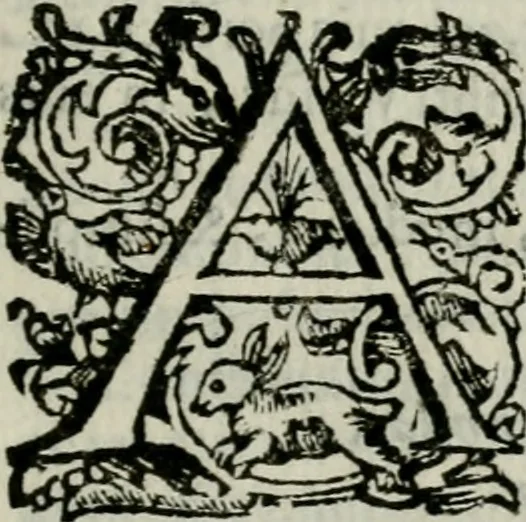 An illustration from Novae coelestium terrestriumq[ue] rerum observationes : et fortasse hactenus non uulgatae, 1646, leaf 24