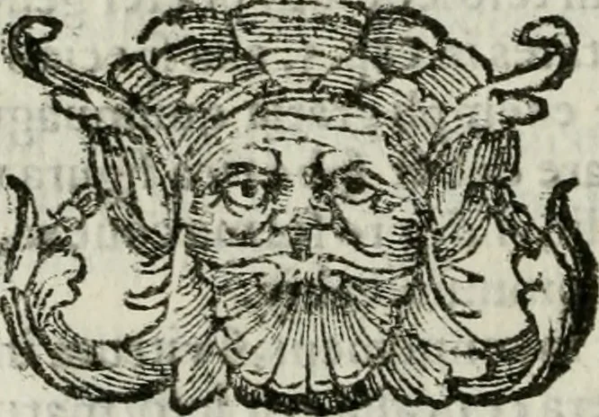 An illustration from Novae coelestium terrestriumq[ue] rerum observationes : et fortasse hactenus non uulgatae, 1646, leaf 35